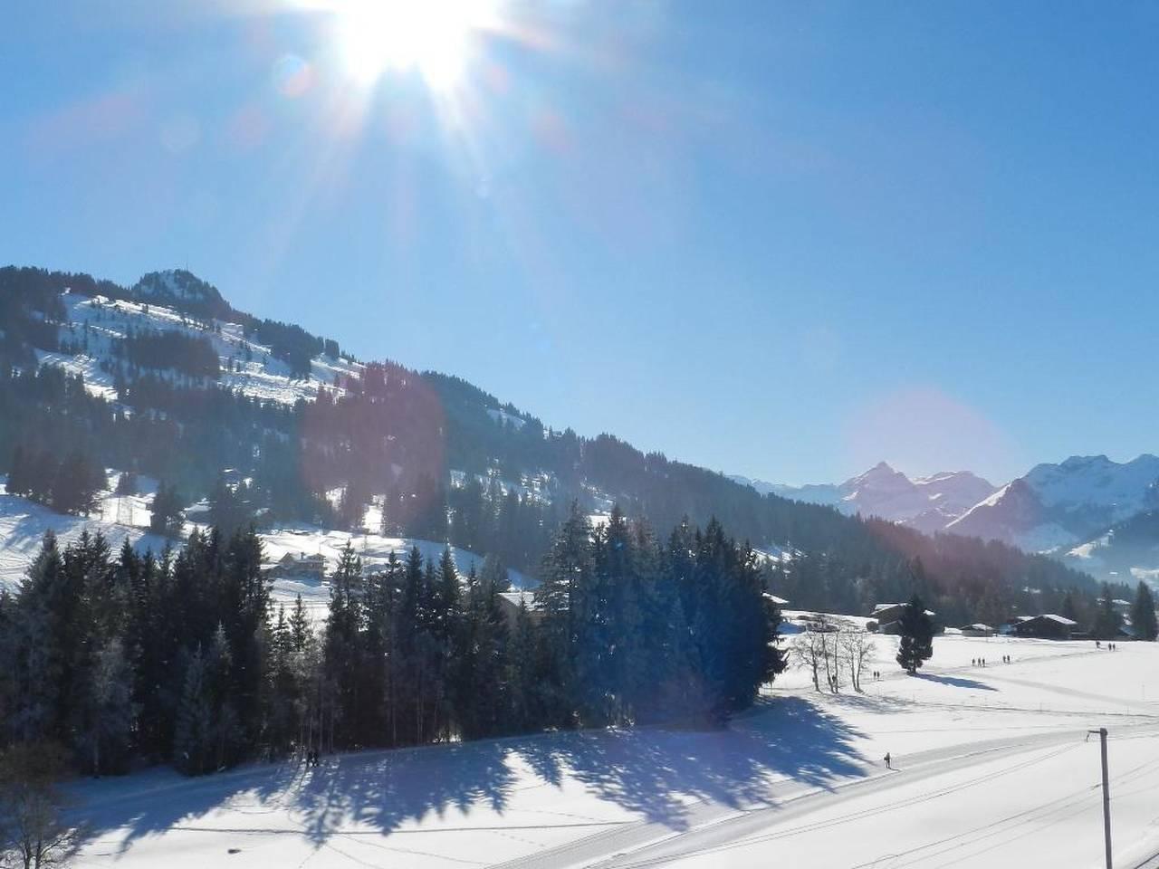 Vakantieappartement in Saanen, Zwitserland voor 6 personen foto 5