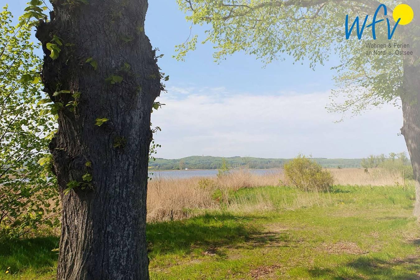 Vakantieappartement in Seedorf (Sellin), Sellin, Duitsland voor 2 personen foto 20