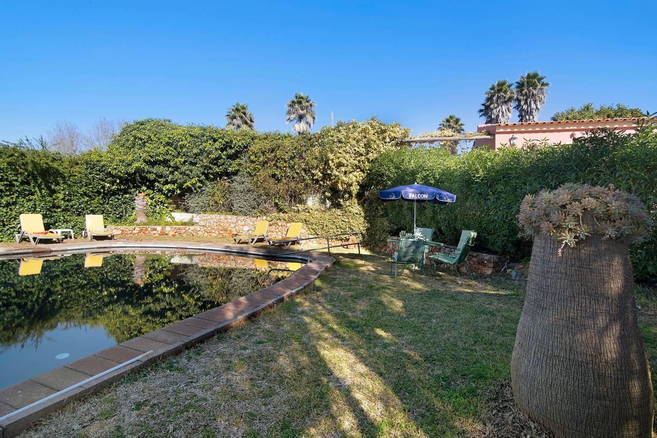 Vakantiehuis in Faro District foto 2