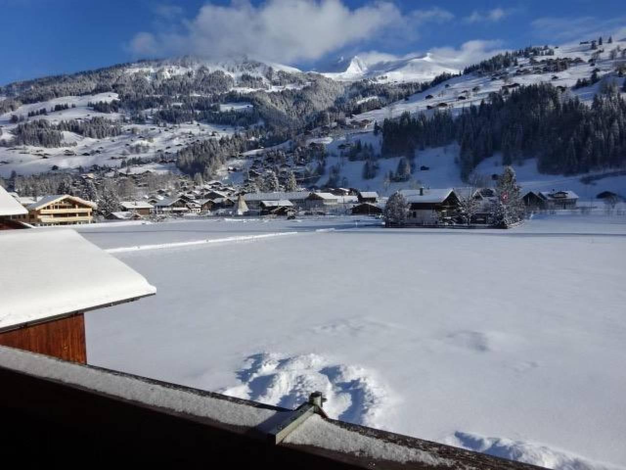 Vakantieappartement in Lenk, Zwitserland voor 5 personen foto 9