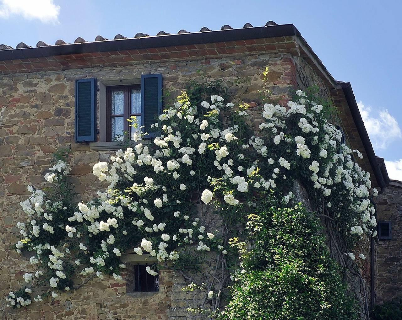 San Lorenzo in Monte San Savino, Chianti, Italië voor 8 personen foto 24