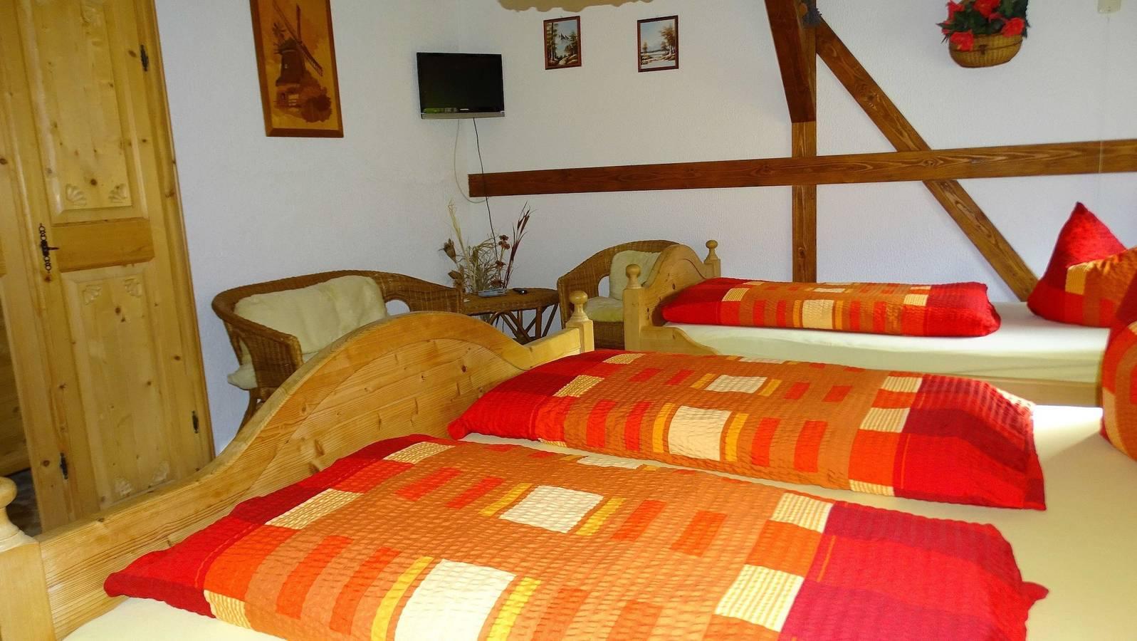 Vakantieappartement in Vogtland, Duitsland voor 5 personen foto 8