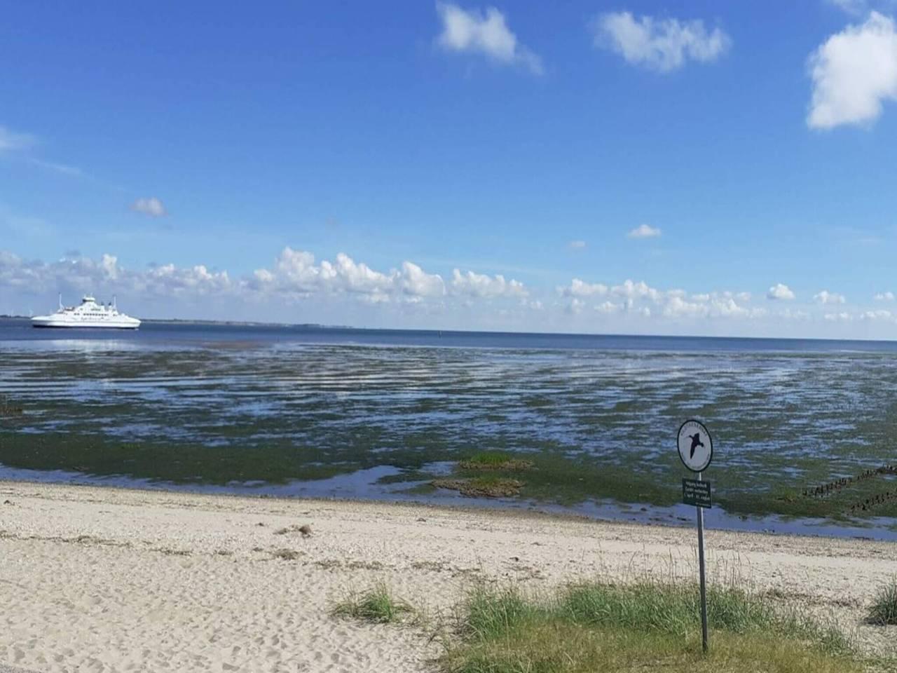Vakantieappartement in Rømø, Denemarken voor 6 personen foto 10