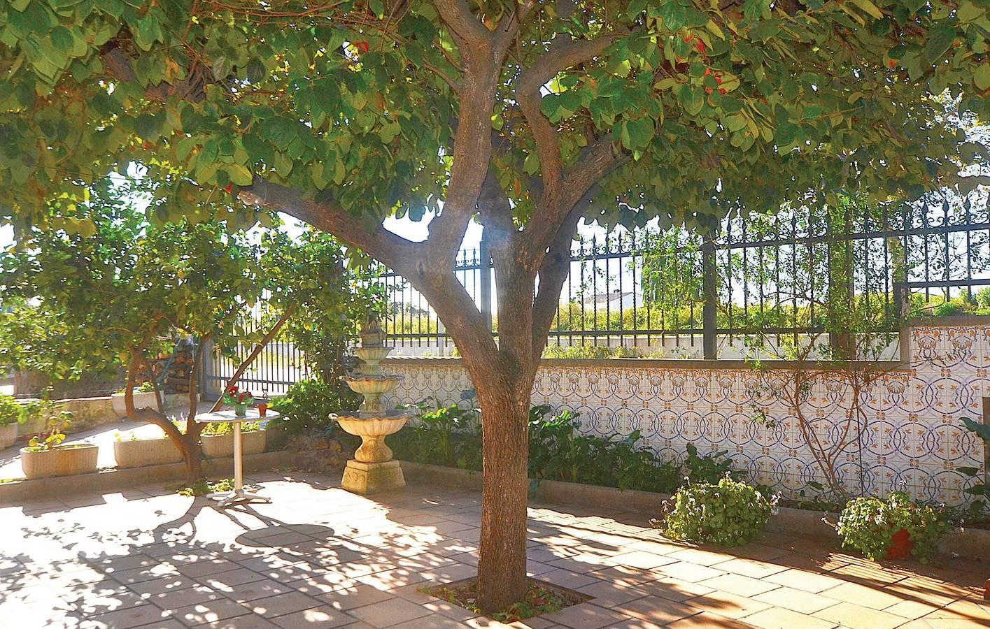 Vakantiehuis in Maresme, Spanje voor 14 personen foto 10