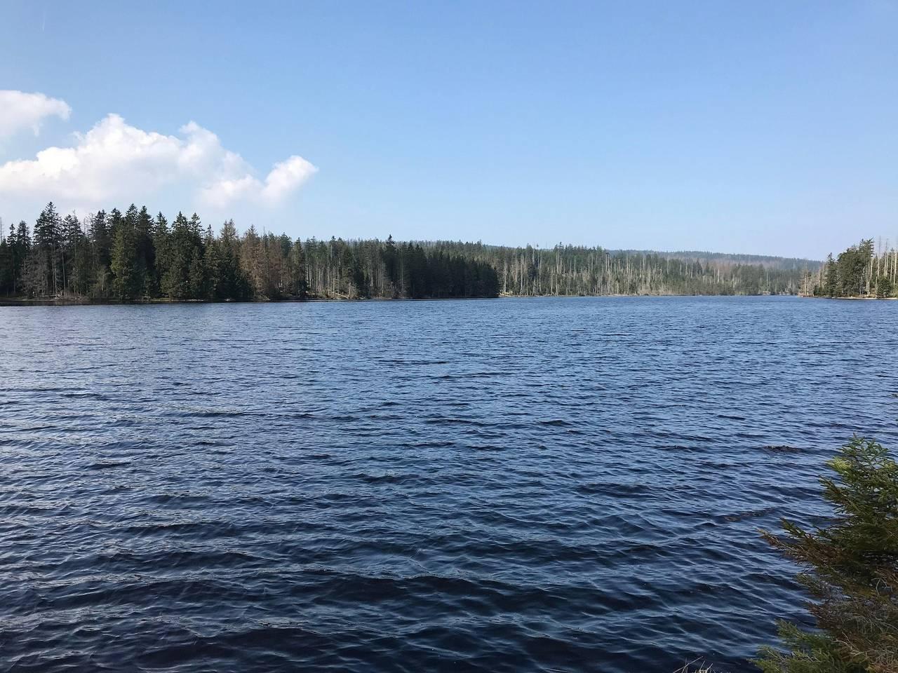 Dat Harzchen - mit Garage und Wlan in Sankt Andreasberg, Braunlage, Duitsland voor 3 personen foto 25