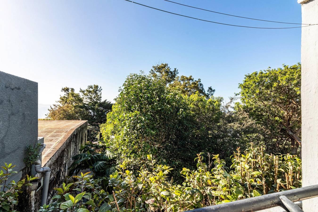 Vakantiehuis 'Cayenne' met zeezicht, privé tuin en wifi in Água de Pena, Madeira, Portugal voor 5 personen foto 19
