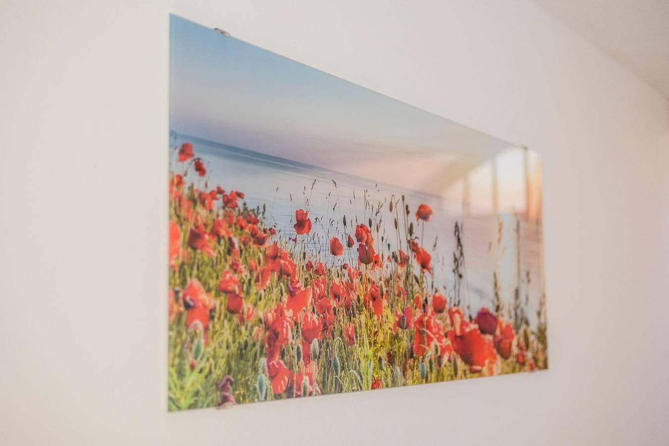 Vakantieappartement in Bodensee, Duitsland voor 3 personen foto 11