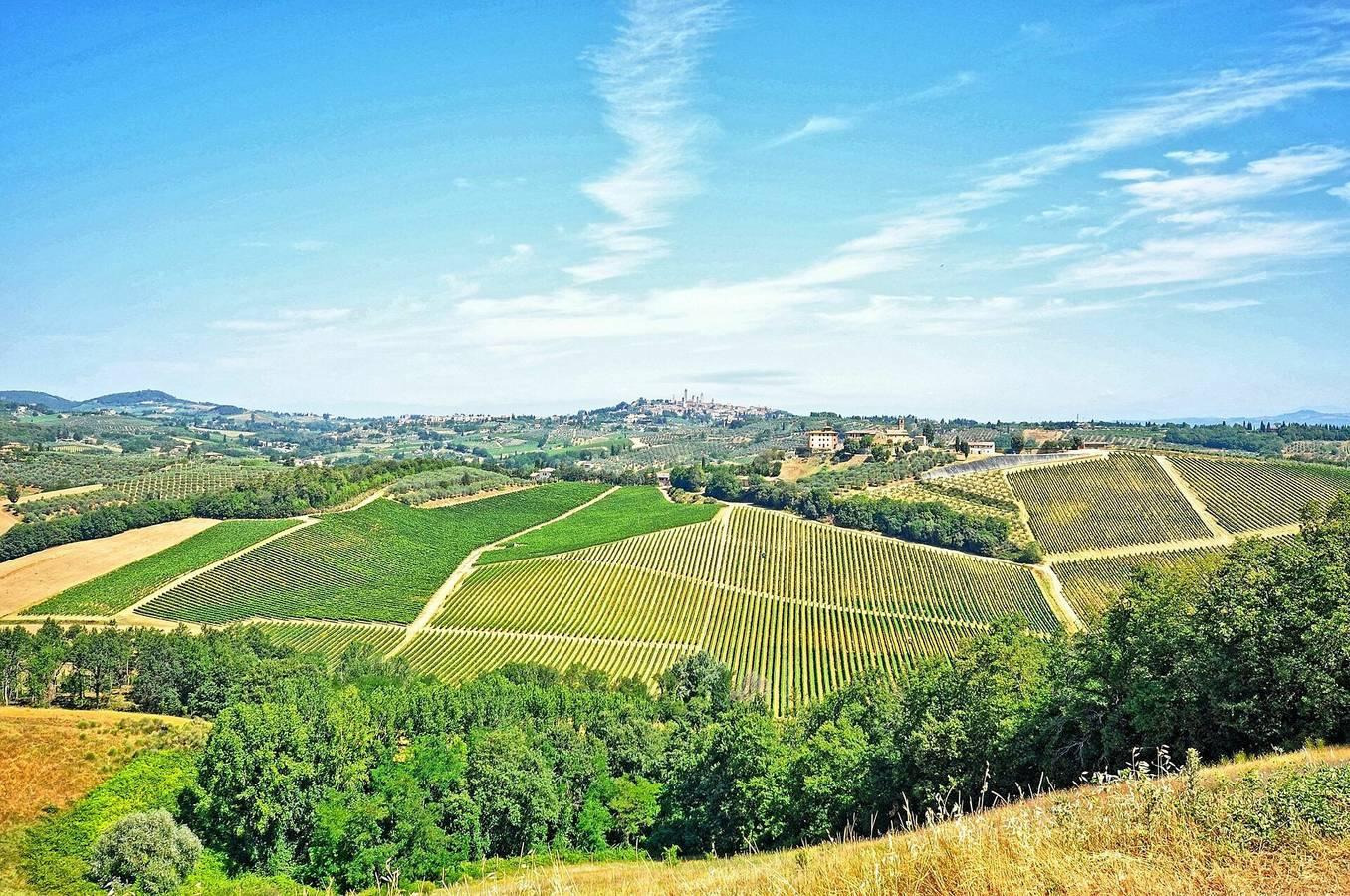 Vakantieappartement in San Gimignano, Italië voor 4 personen foto 14