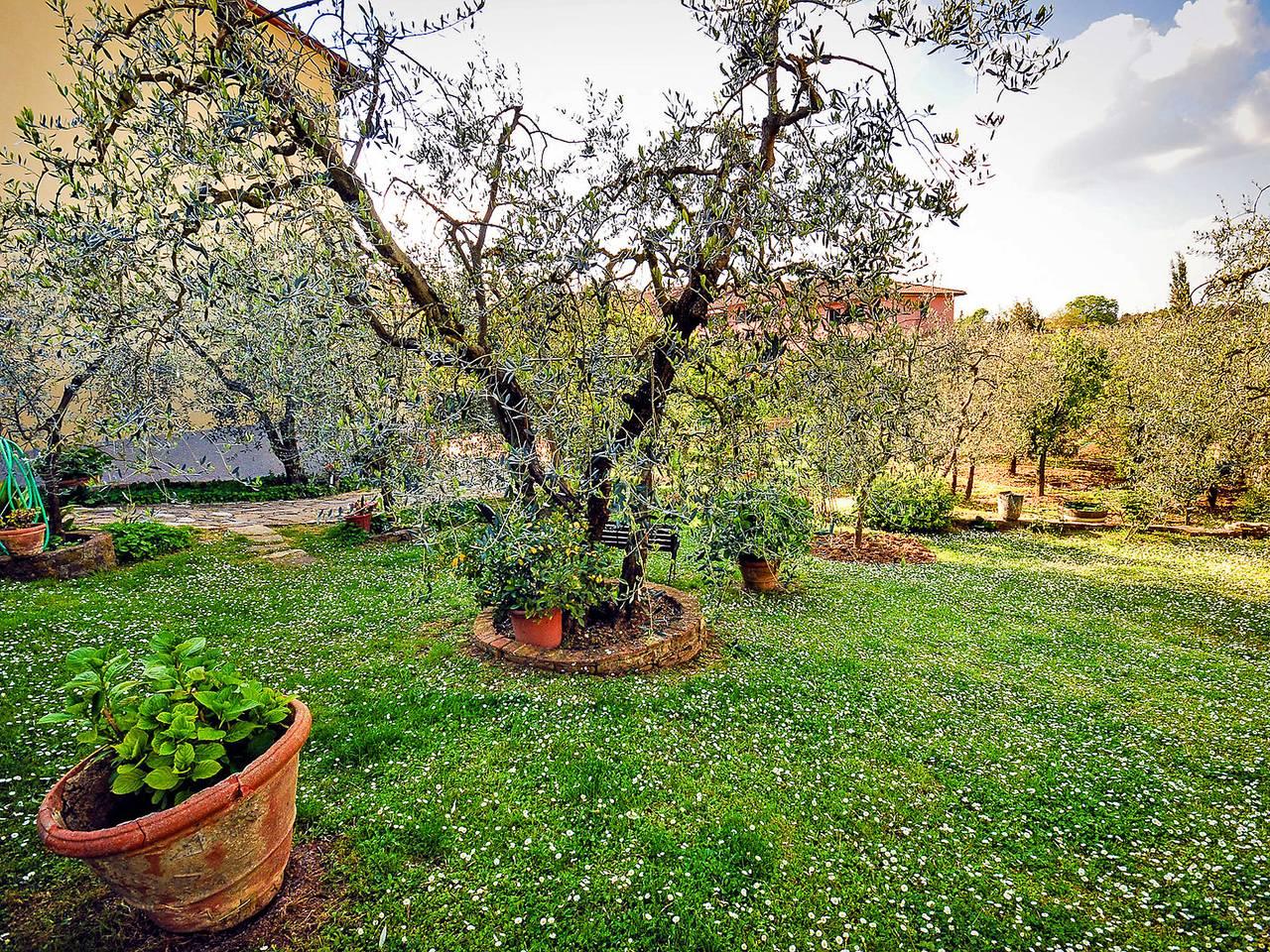 Vakantieappartement in Chianti, Italië voor 6 personen foto 10