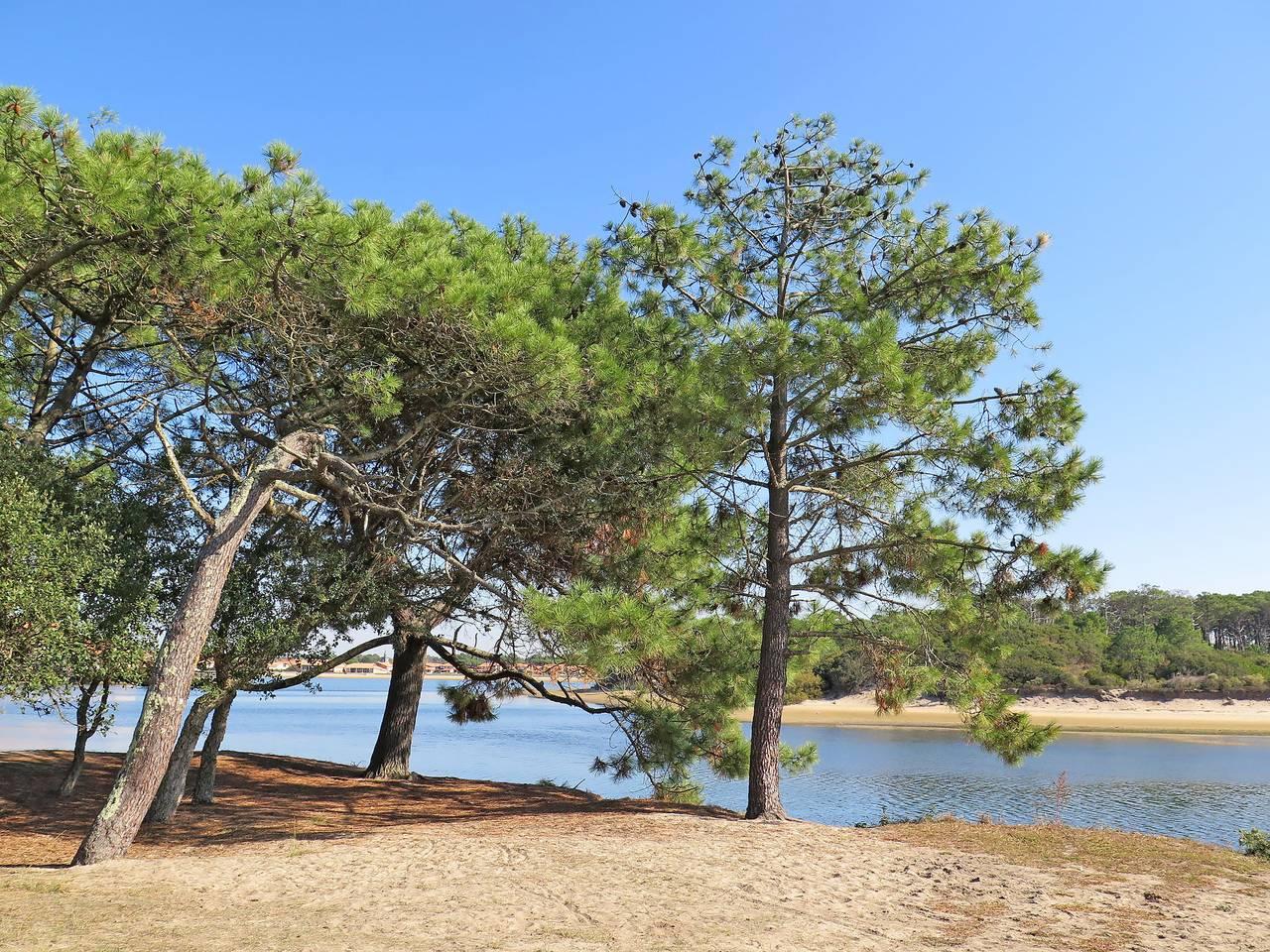 Vakantieappartement in Landes, Frankrijk voor 4 personen foto 17