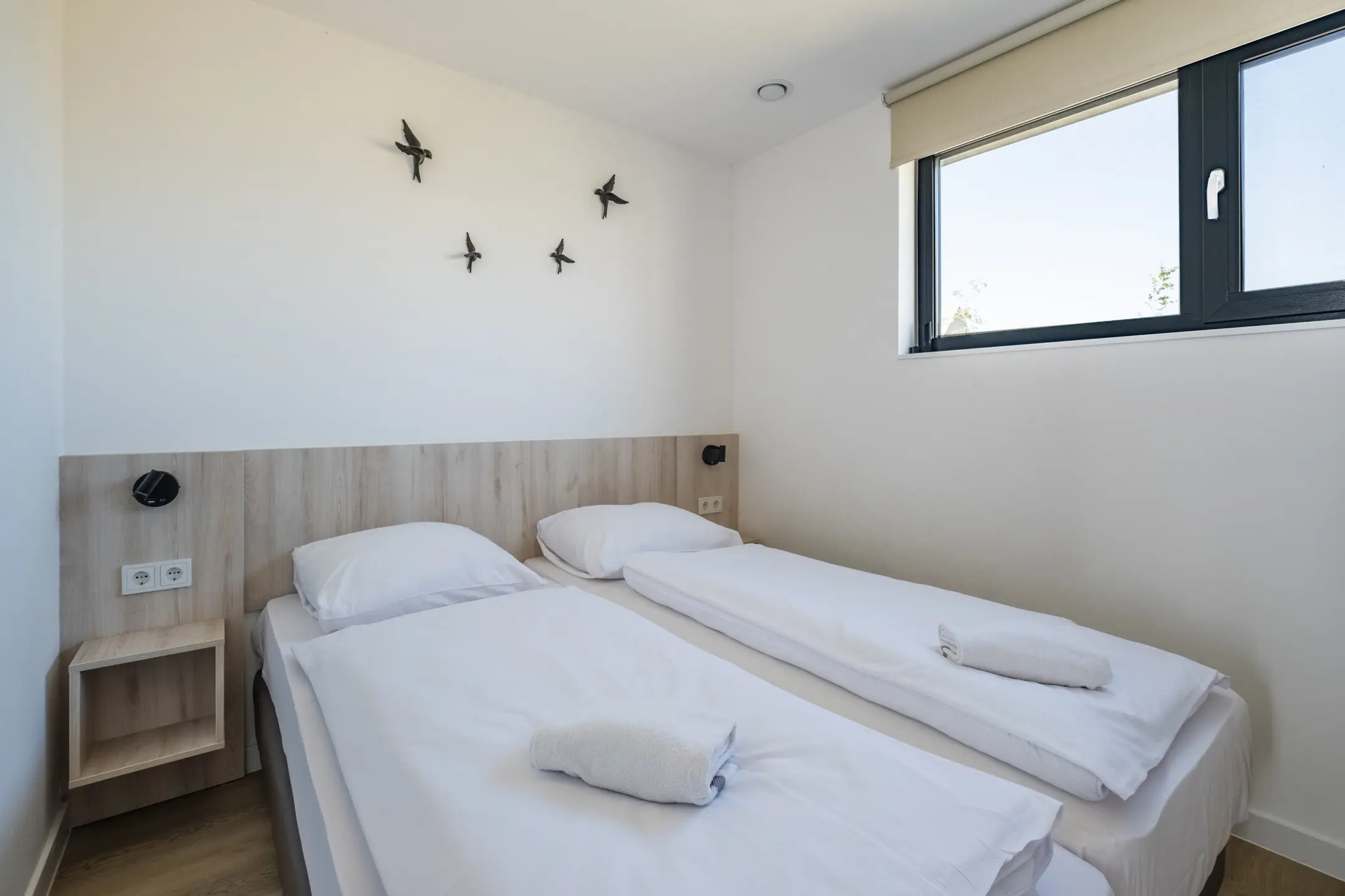 4-persoonslodge, vakantielodge in Someren, Nederland voor 4 personen foto 9