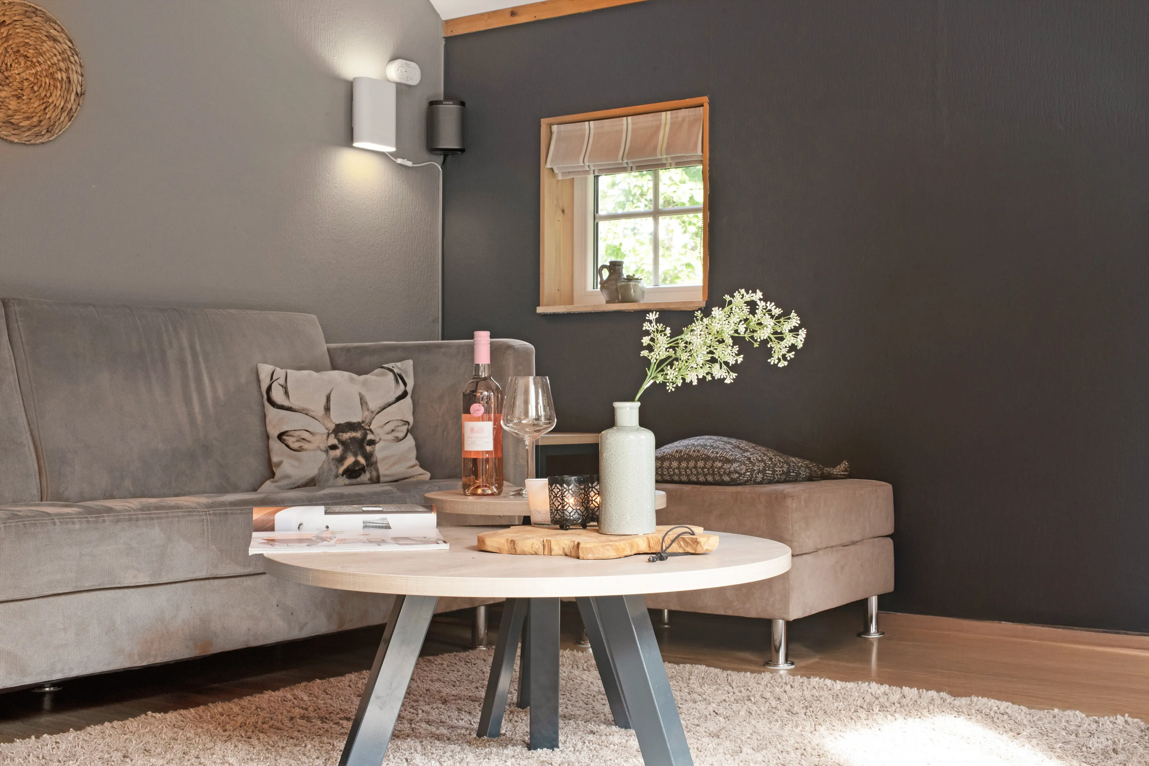 4-persoons wellnessbungalow, bungalow in Haarle, Nederland voor 4 personen foto 17